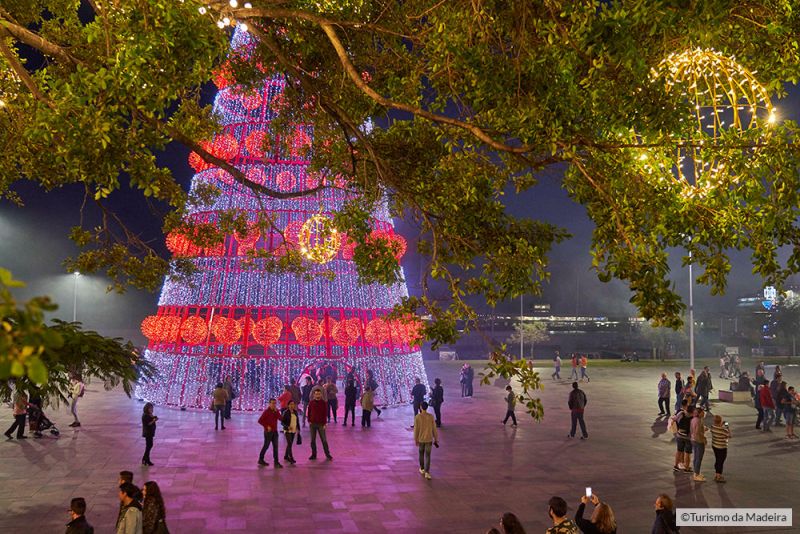 Natal-e-Fim-do-Ano-061тФм╨╣Henrique-S