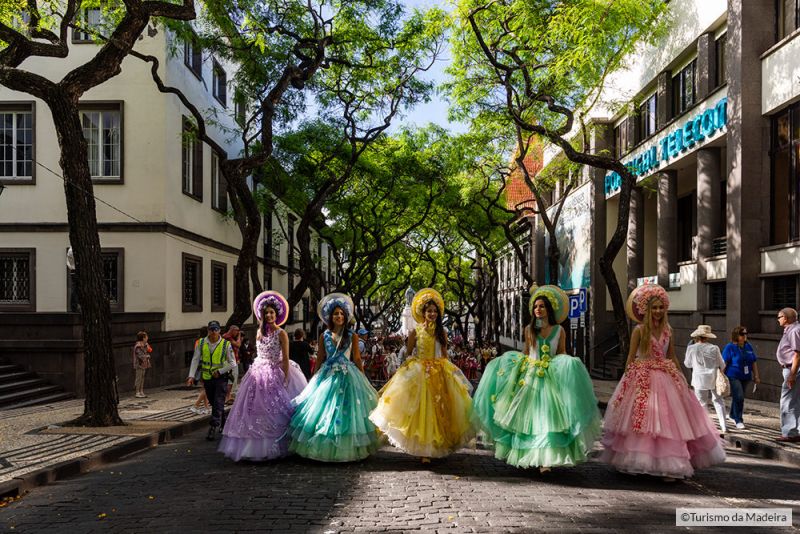 Flower-Festival001тФм╨╣Henrique-S